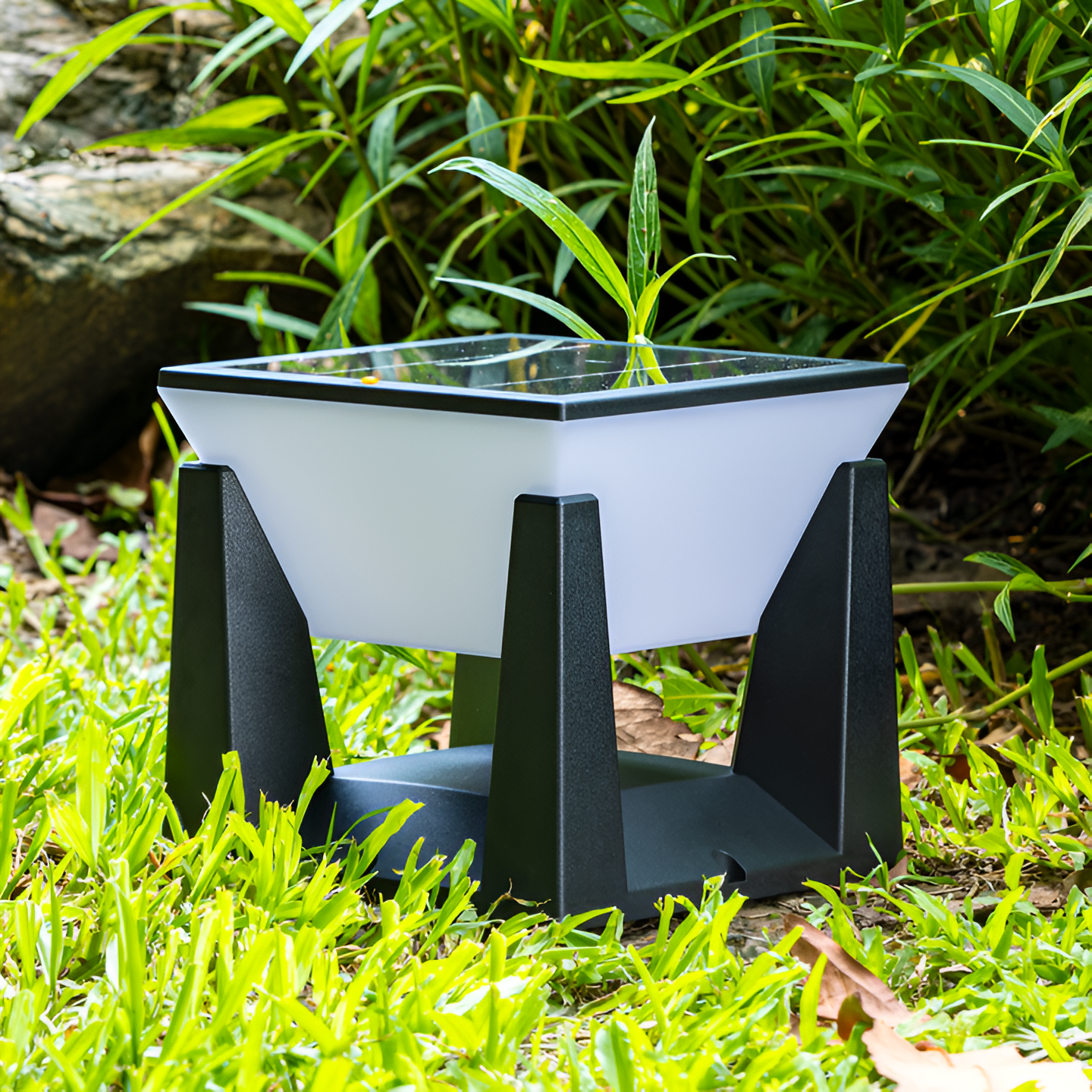 Stylish Solar Garden Pathway Light - Image 5