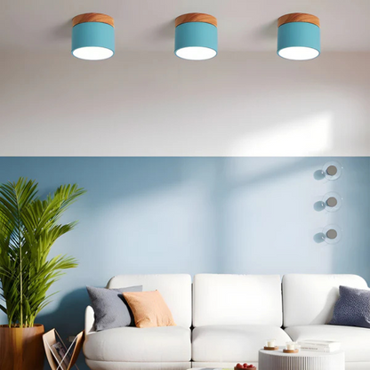 Vintage LED Ceiling Light for Elegant Homes - Image 3