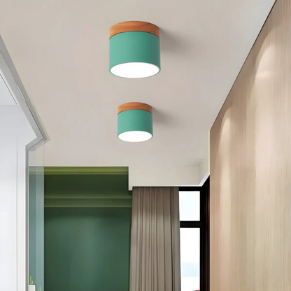 Vintage LED Ceiling Light for Elegant Homes - Image 4