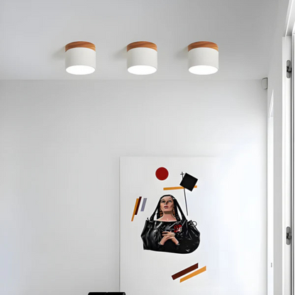 Vintage LED Ceiling Light for Elegant Homes - Image 5
